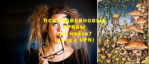 дмт Алексеевка