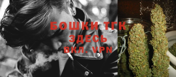 дмт Алексеевка