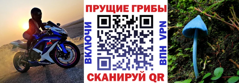 цена наркотик Козловка Псилоцибиновые грибы MAGIC MUSHROOMS